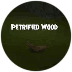 Petrified-Wood