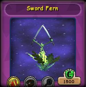 Sword Fern