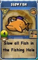 Slow-Fish