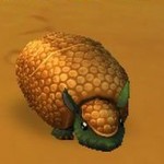 armadillo