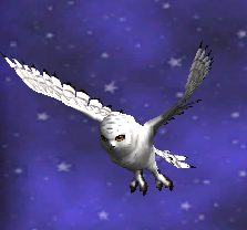 White Winter Owl