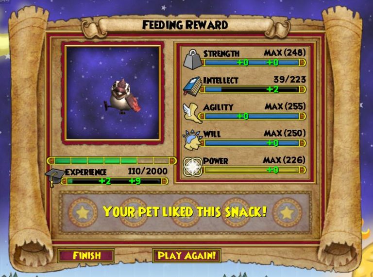 A Beginner's Guide to Wizard101 Pets Final Bastion