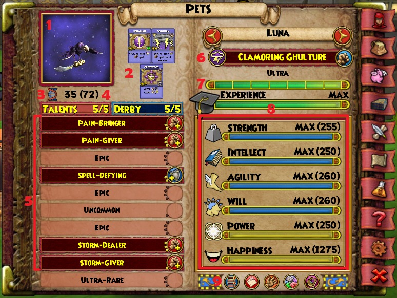 A Beginner S Guide To Wizard101 Pets Final Bastion