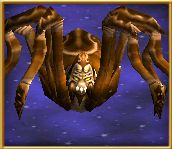 spider pets guide